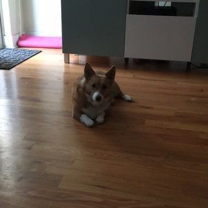 Meet your Posher, Andrew